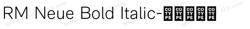 RM Neue Bold Italic字体转换